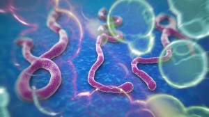 Ebola Health Club News Story