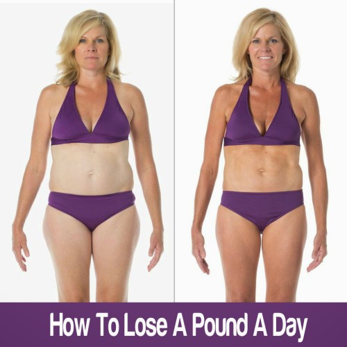 23 Day Hcg Diet Protocol Pounds