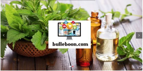 bulleboon.com