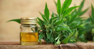 CBD Plan…Your Guide to all that is CBD!