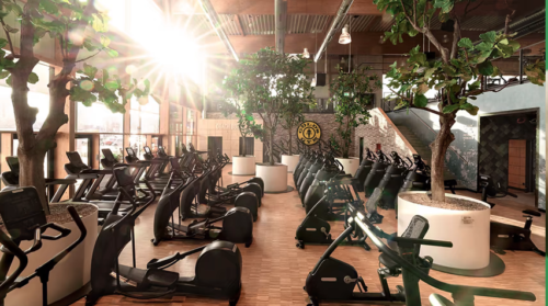 Gold’s Gym Owner RSG Group Sells McFIT Polska to Focus on Growth in North America